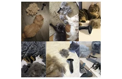 Vyčesávací kartáč – furminátor