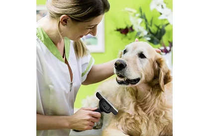 Vyčesávací kartáč – furminátor