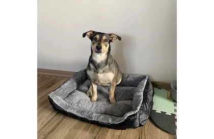 Pelíšek pro psa a kočku 60 × 45 cm