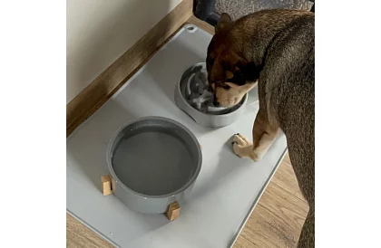 Silikonová podložka pod misky – XXL 60 x 40 cm