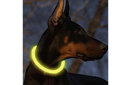 Svítící LED obojek s USB nabíjením a nastavitelnou délkou