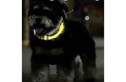 Svítící LED obojek s USB nabíjením a nastavitelnou délkou