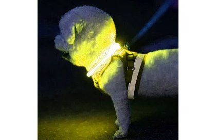 Svítící LED obojek s USB nabíjením a nastavitelnou délkou