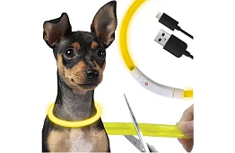 Svítící LED obojek s USB nabíjením a nastavitelnou délkou