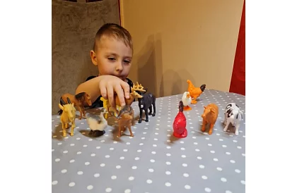 Hospodářská zvířata – 12 figurek