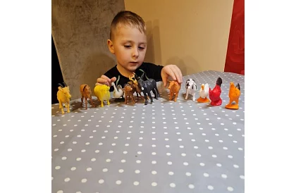 Hospodářská zvířata – 12 figurek