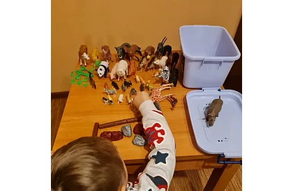 Plastová zvířátka – 48 zvířátek v kufříku