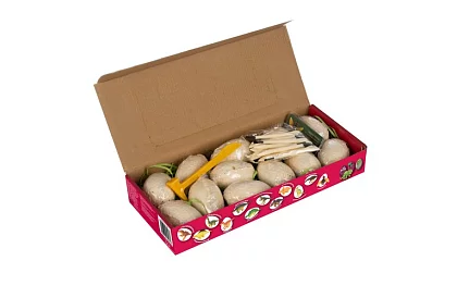 Dinosauří vejce 12 kusů - malý archeolog