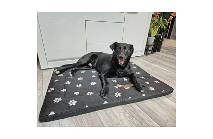 Voděodolný psí pelech - matrace 100x70 cm