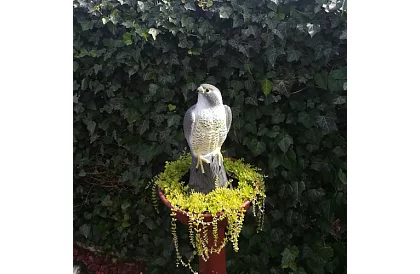 Plašič ptáků – realistický sokol