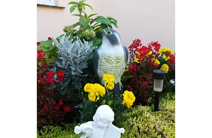 Plašič ptáků – realistický sokol