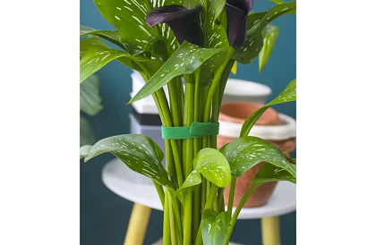 Zahradnická vázací páska na suchý zip – pro uchycení rostlin 500 cm