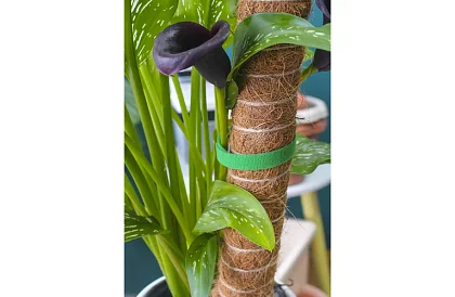 Zahradnická vázací páska na suchý zip – pro uchycení rostlin 500 cm