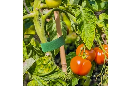 Zahradnická vázací páska na suchý zip – pro uchycení rostlin 500 cm