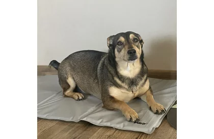 Chladící gelová podložka - 90 x 50 cm