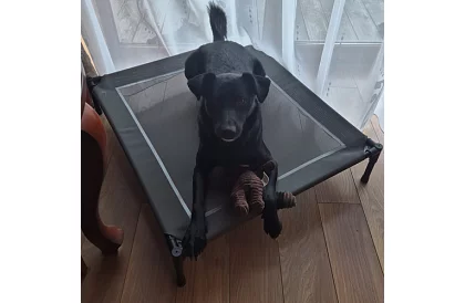 Vyvýšený krytý pelíšek pro psy