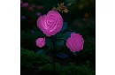 Solární zahradní LED lampa – růže