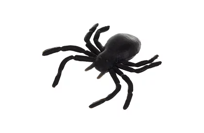 Plastoví pavouci – Halloweenská dekorace, 10 kusů
