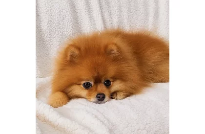 Oboustranná teplá deka 150 x 200 cm – tmavě šedá