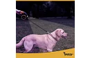 Flexi vodítko pro psy s LED svítilnou - 5 m - 10 - 25 kg