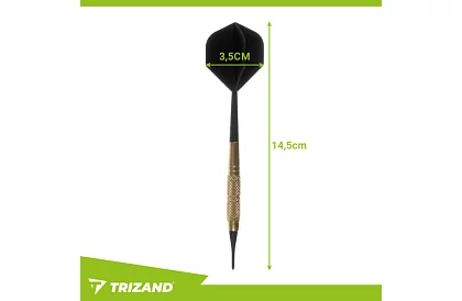 Šipky 12 kusů + 200 náhradních hrotů