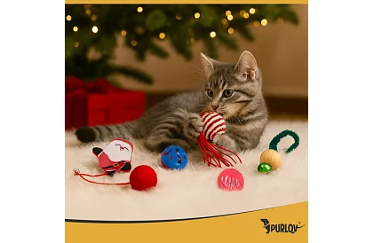 Sada hraček pro kočky – 6 ks