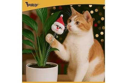 Sada hraček pro kočky – 6 ks