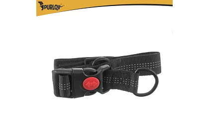 Běžecká ledvinka s vodítkem na psa + příslušenství