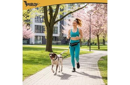 Běžecká ledvinka s vodítkem na psa + příslušenství