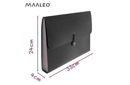 Složka na dokumenty – organizér A4, 13 přihrádek