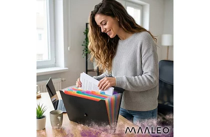 Složka na dokumenty – organizér A4, 13 přihrádek