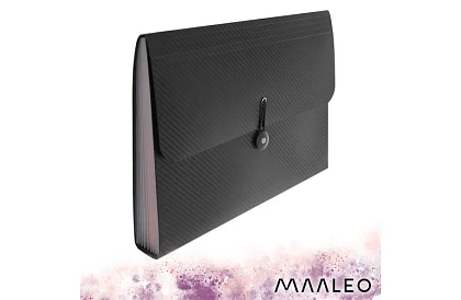 Složka na dokumenty – organizér A4, 13 přihrádek