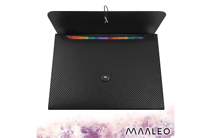 Složka na dokumenty – organizér A4, 13 přihrádek