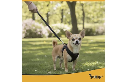 Beztlaký postroj pro psy a kočky s vodítkem – Velikost XS