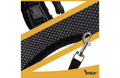 Beztlaký postroj pro psy a kočky s vodítkem – Velikost XS