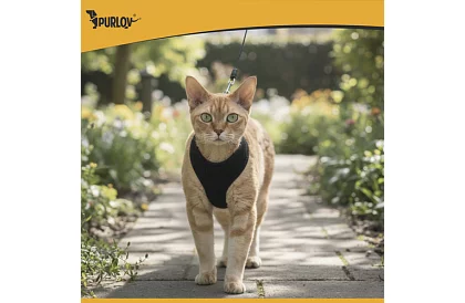 Beztlaký postroj pro psy a kočky s vodítkem – Velikost XS