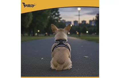 Beztlaký postroj pro psy a kočky s vodítkem – Velikost XS