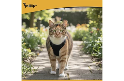 Beztlaký postroj pro psy a kočky s vodítkem – Velikost S