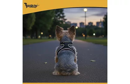 Beztlaký postroj pro psy a kočky s vodítkem – Velikost S