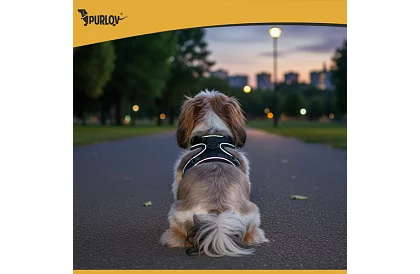 Beztlaký postroj pro psy a kočky s vodítkem – Velikost M