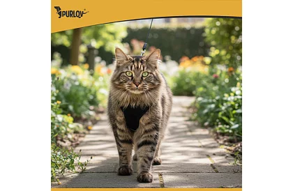 Beztlaký postroj pro psy a kočky s vodítkem – Velikost M