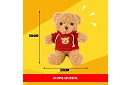 Medvídek s mikinou 30 cm – plyšová hračka pro děti 0+