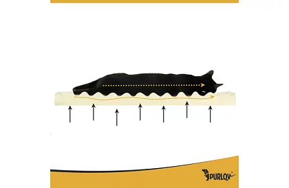 Ortopedický pelech 65 × 55 × 18 cm – S