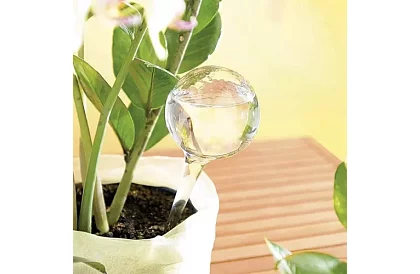 Zavlažovací koule pro rostliny – 8 kusů