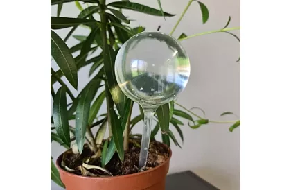 Zavlažovací koule pro rostliny – 8 kusů