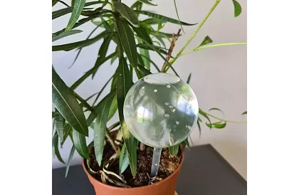 Zavlažovací koule pro rostliny – 8 kusů