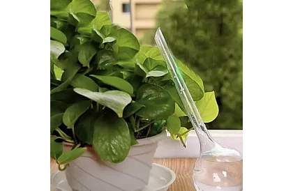 Zavlažovací koule pro rostliny – 8 kusů