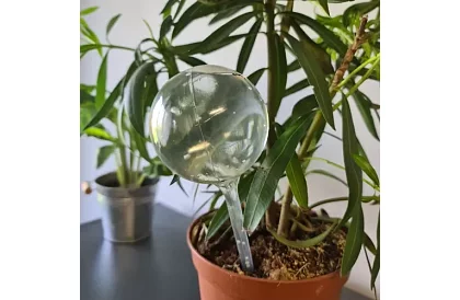 Zavlažovací koule pro rostliny – 8 kusů