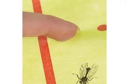 Lapač hmyzu, role 25 × 1000 cm – mucholapka