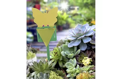 Lapače na hmyz Repest – 12 kusů